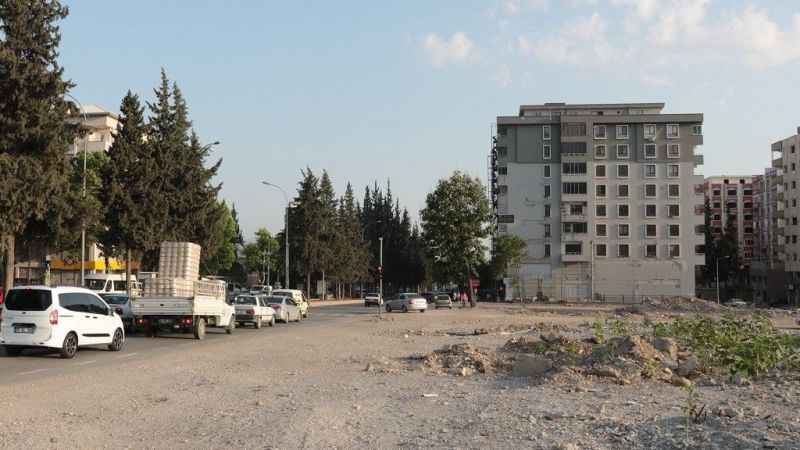 Kuruyemiş dükkanının enkazında ayçiçekleri boy verdi