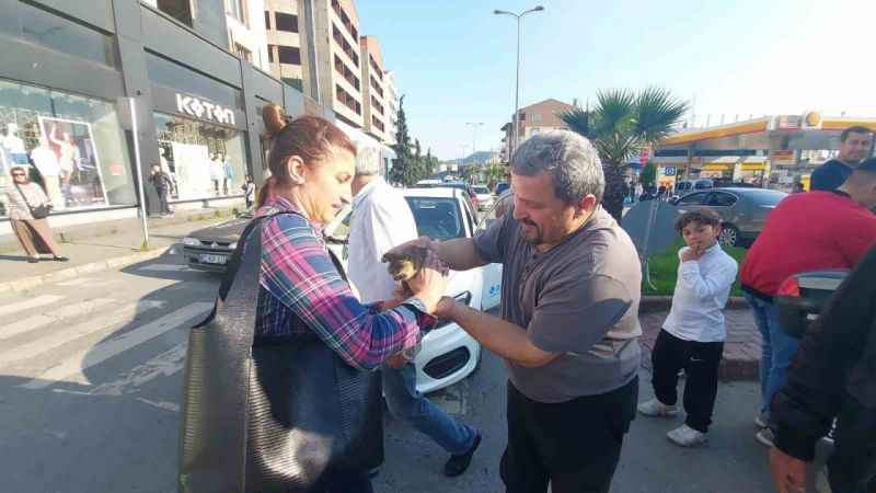 Kedi motora sıkıştı vatandaş seferber oldu