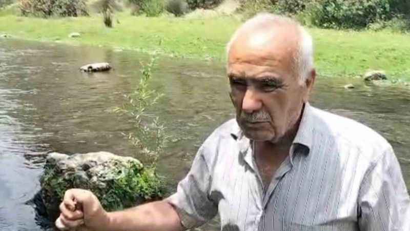 Osmaniye’deki Sabun Çayı’nda balık ölümleri
