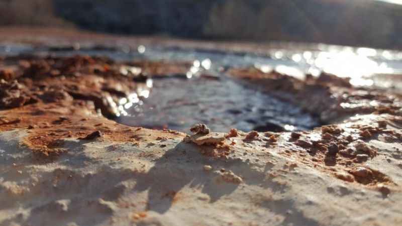 Erzincan'da bir dünya harikası: Otlukbeli Gölü