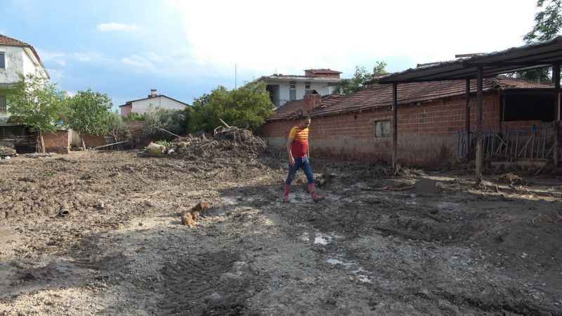 Hayvanları sele kapıldı, ağlayarak video çektiler