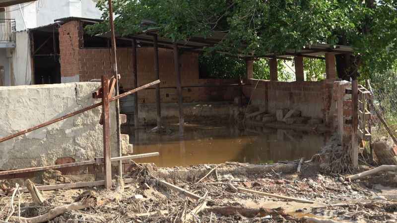 Hayvanları sele kapıldı, ağlayarak video çektiler