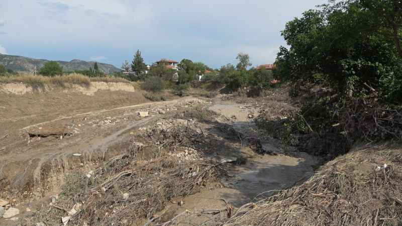 Hayvanları sele kapıldı, ağlayarak video çektiler