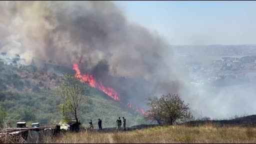 Büyükçekmece Cumhuriyet Mahallesi'nde otluk alan yangını