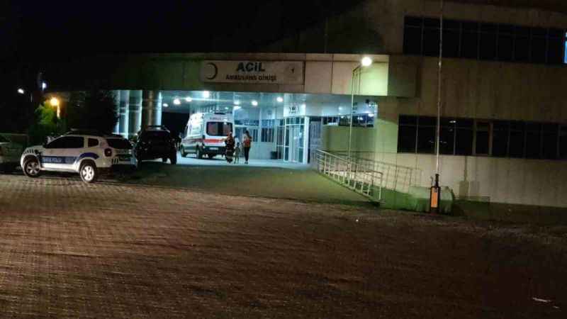 Bingöl’de hafif ticari araçla minibüs çapıştı: 7 yaralı