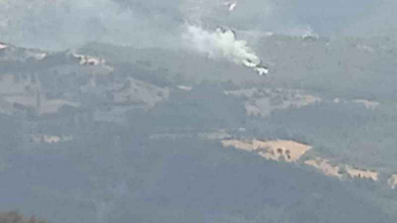 İzmir’de 2 orman yangını yaklaşık 30 dakikada kontrol altına alındı