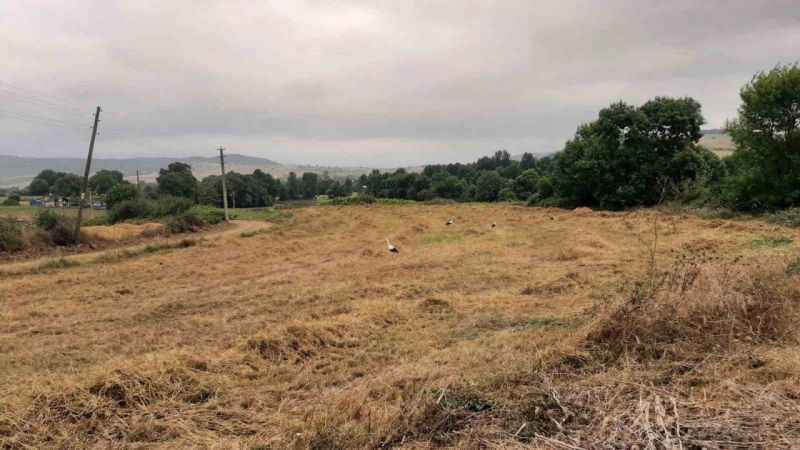 İhtiyaç sahiplerine un dağıtılacak