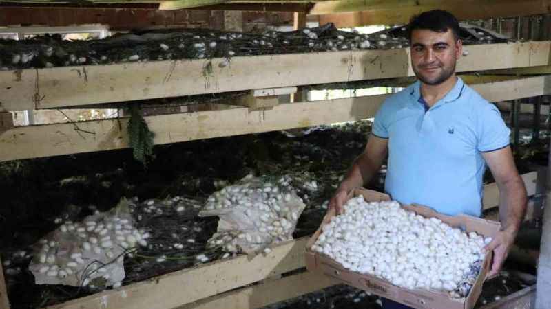 20 metrekare alanda 40 kilo yetişiyor: Kilosu 400 TL