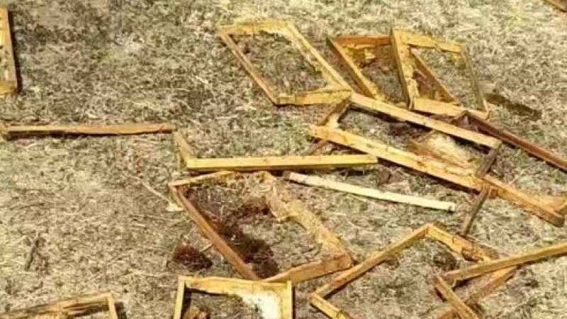 Muş’ta aç kalan ayılar kovanları parçaladı