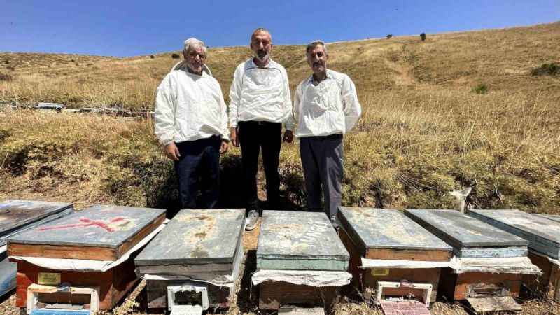 İklim değişikliği ve sıcaklık son 3 yılda bal rekoltesini yüzde 100 düşürdü