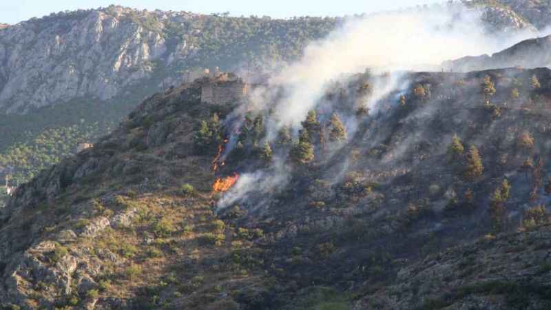 Amasya’da orman yangını kontrol altına alındı