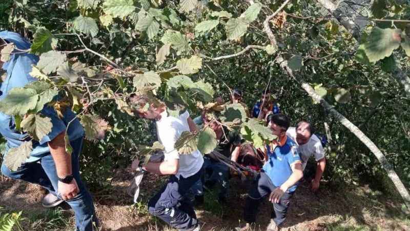 Fındık toplarken 30 metrelik yamaçtan aşağıya yuvarlandı