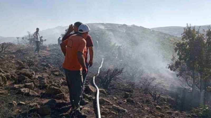 Bingöl’deki orman yangını kontrol altına alındı