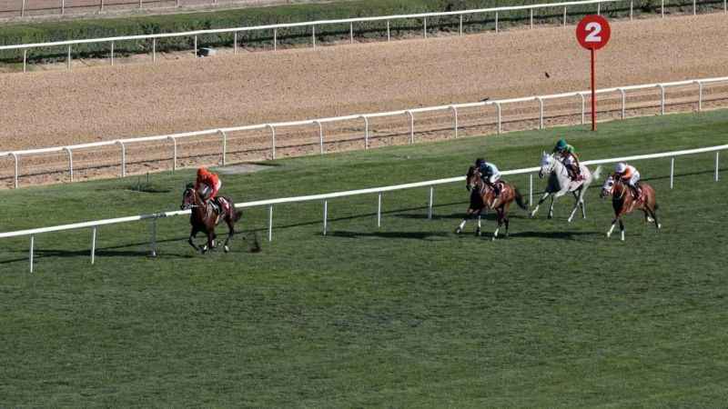 Başkanlık Koşusu’nun kazananı Taylolo oldu