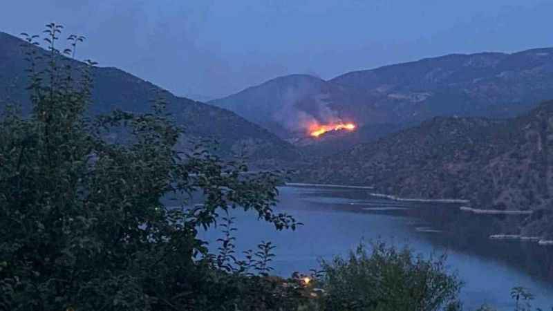 Laçin’de orman yangını