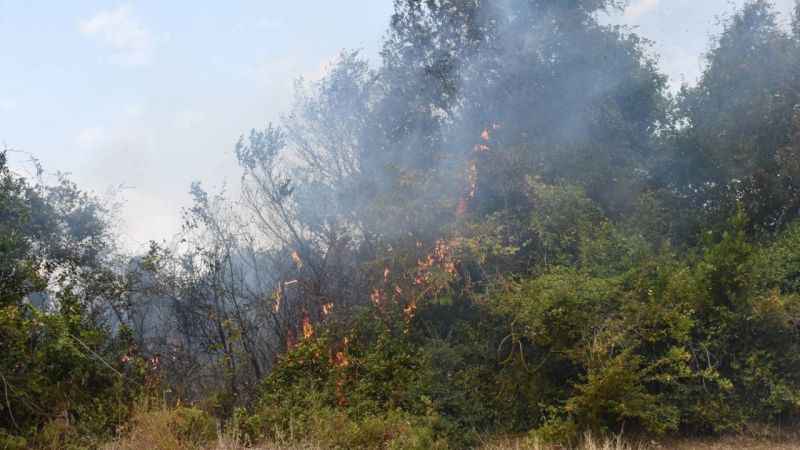 Sinop’ta yangın: 10 dönüm alan zarar gördü