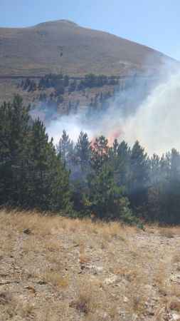 Isparta’da çıkan orman yangını kontrol altına alındı