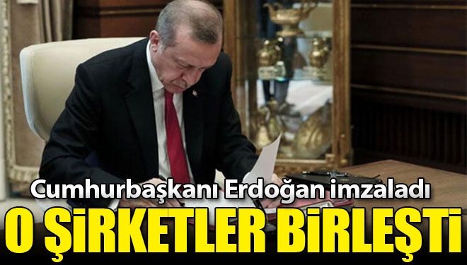 3 şirket birleşti