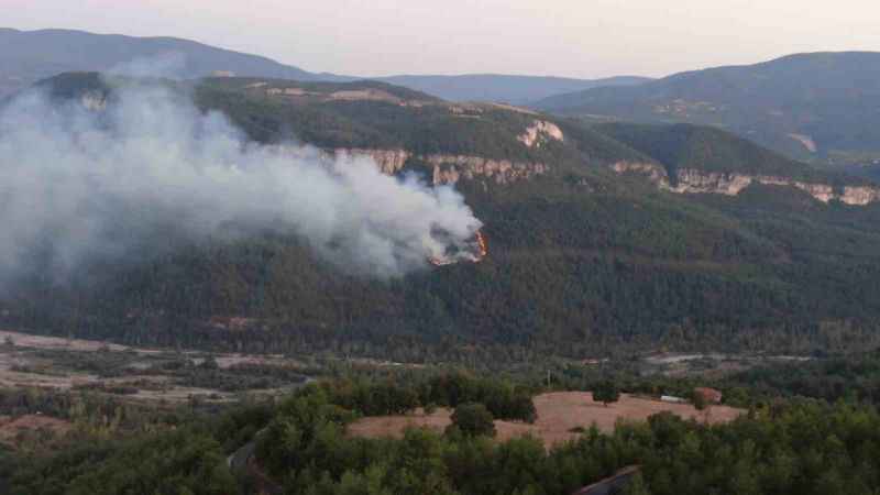Karabük’teki orman yangınını söndürme çalışmaları karadan sürüyor