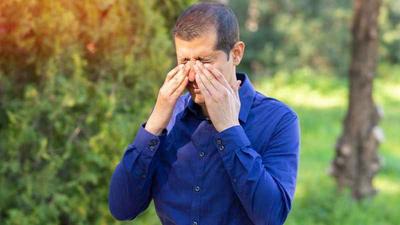9 soruda bahar alerjisi testi