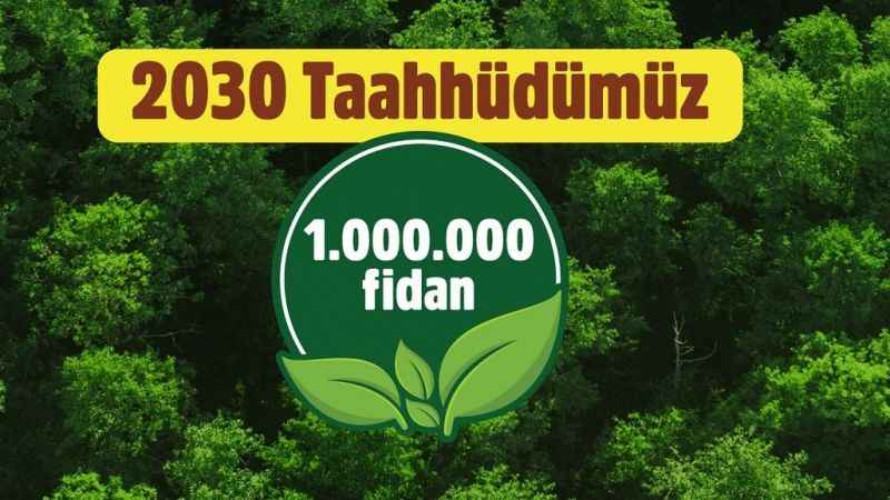 Watsons’tan ormansızlaşma ile mücadele taahhüdü