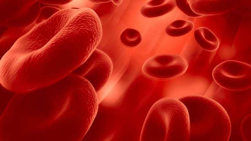 Damar Sağlığını Korumak İçin 5 Öneriye Dikkat !