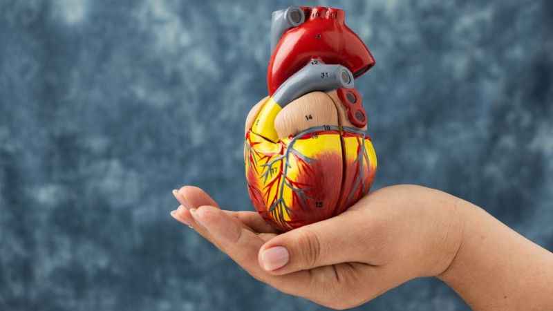 Kolesterolünüzün huyu iyi mi kötü mü?