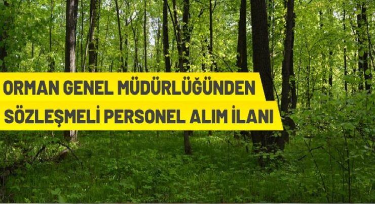 Orman Genel Müdürlüğü 283 Orman Mühendisi alacak