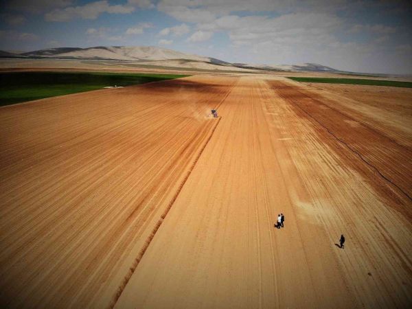 Konya Ovasında ayçiçeği ve pancarda yüksek rekolte bekleniyor