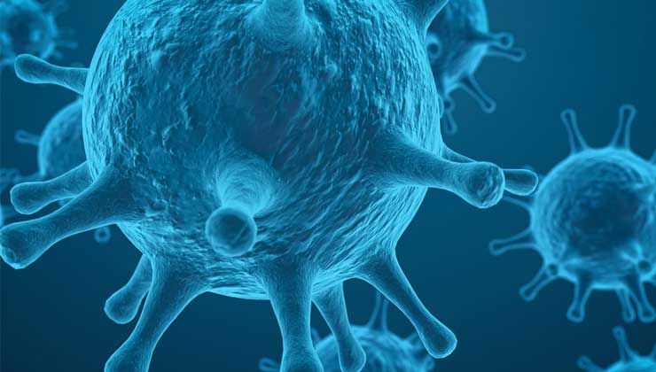 Türkiye’de maymun vakası var mı? Resmi açıklama geldi mi? Hangi ülkelerde kaç vaka var?