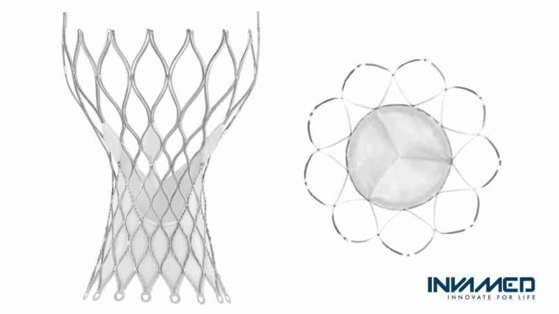 Türkiye kalp kapağı üretti
