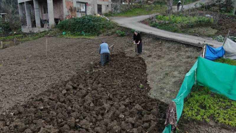 Gençler tarlaya girmiyor