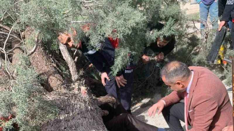 Burdur’da üzerine ağaç devrilen belediye başkan adayı ve oğlu ağır yaralandı