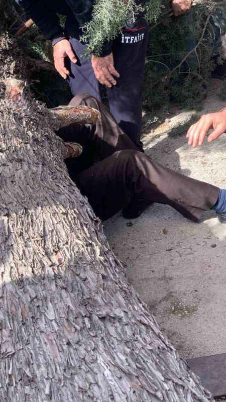 Burdur’da üzerine ağaç devrilen belediye başkan adayı ve oğlu ağır yaralandı