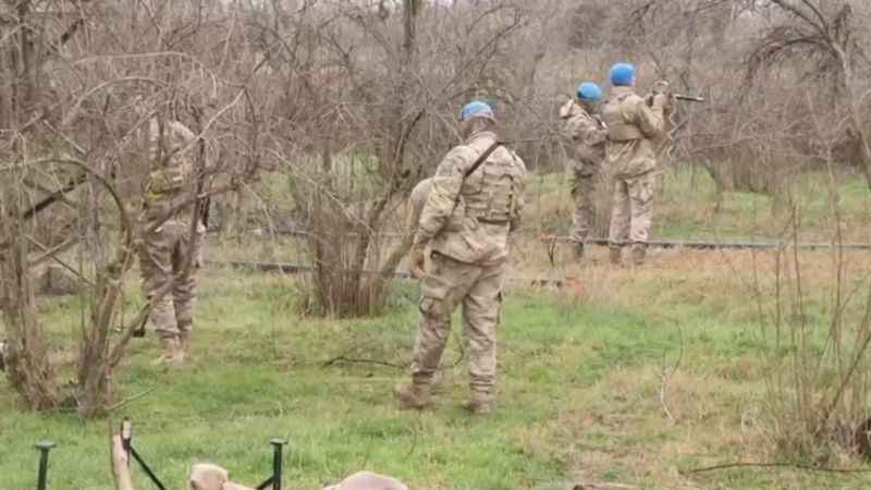 Şanlıurfa’da terör operasyonunda DEM Parti meclis üyesi adayları gözaltına alındı