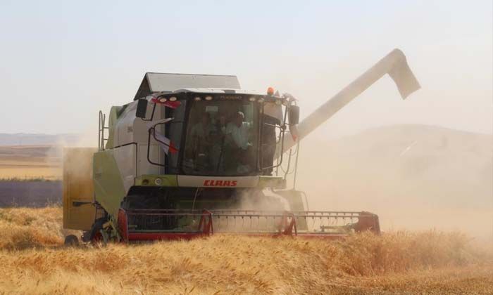 Siirt’te son 20 yılın en bereketli hasadı