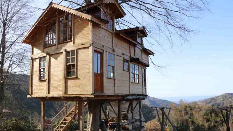 150 yıllık ağacın gövdesine 2+1 ev yaptı