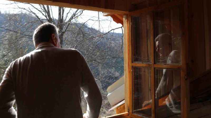 150 yıllık ağacın gövdesine 2+1 ev yaptı