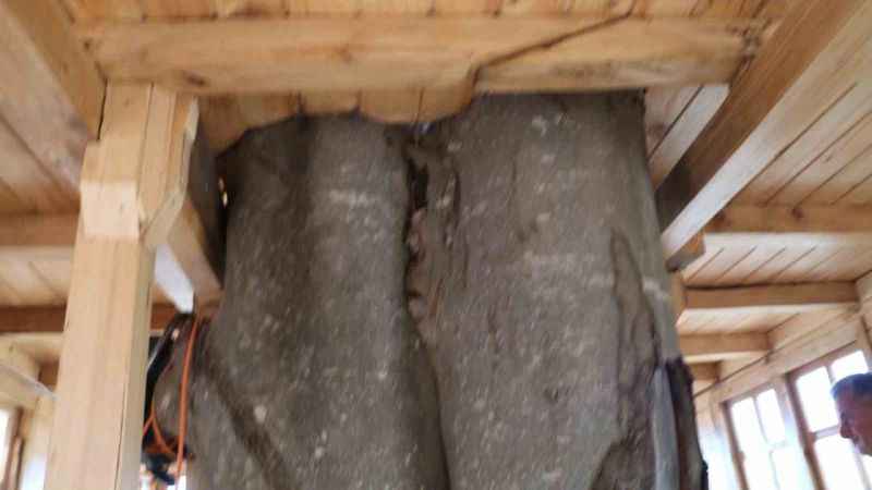 150 yıllık ağacın gövdesine 2+1 ev yaptı