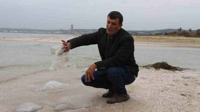  Burnaz sahili de denizanalarıyla kaplandı