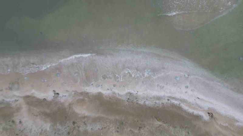  Burnaz sahili de denizanalarıyla kaplandı