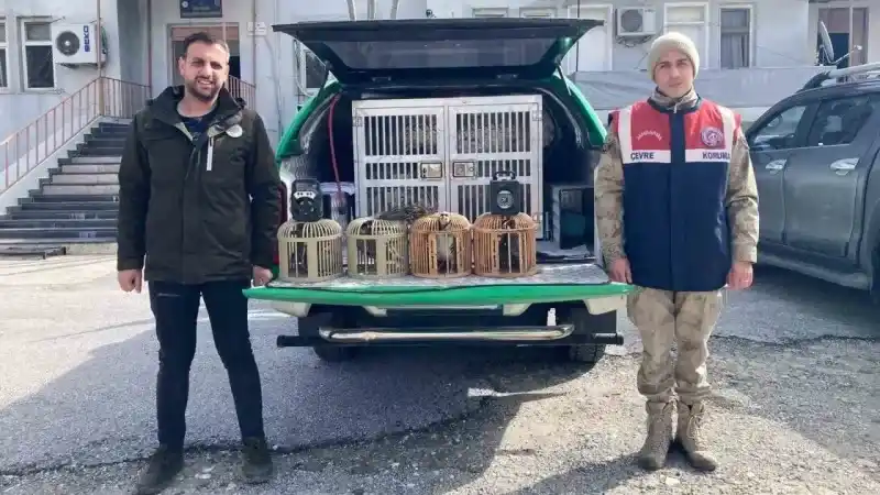 Bitlis’te keklik avlayan 4 kişiye 106 bin 135 lira para cezası