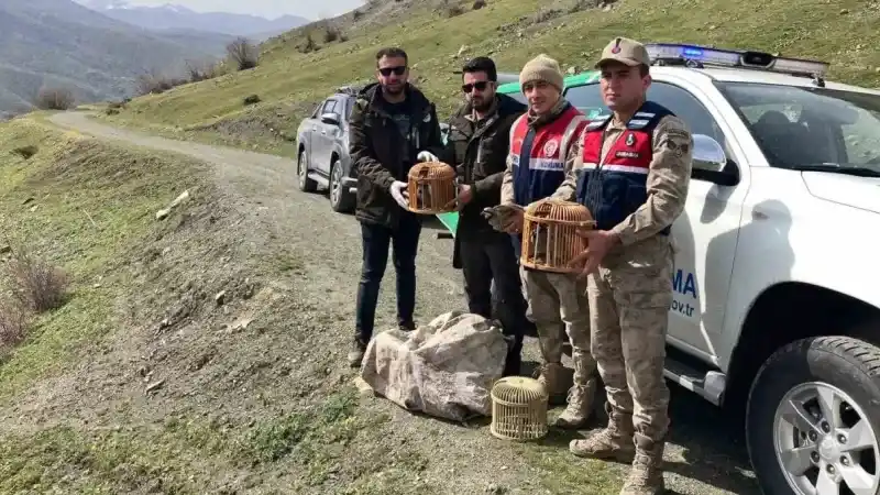 Bitlis’te keklik avlayan 4 kişiye 106 bin 135 lira para cezası