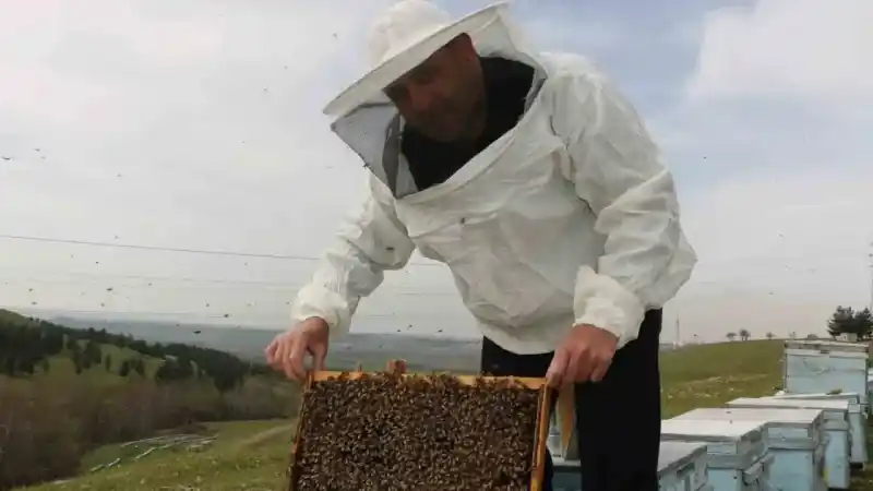Diyarbakır’da kış uykusuna yatmayan arıların yüzde 30’u telef oldu