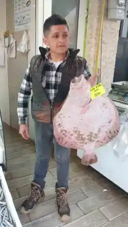 Kilosu 1200 liradan tezgaha indi, ilgi odağı oldu