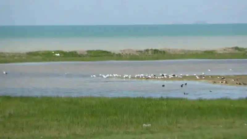 Yağış sonrası Van Gölü’nün su seviyesi yükselmeye başladı