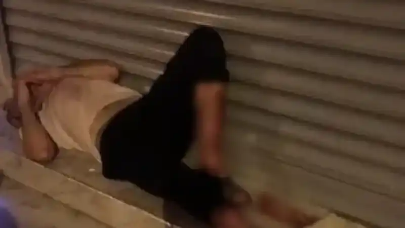 Adana’da evden kaçan pitbull dehşeti kamerada: Sahibini ve 2 kişiyi yaraladı