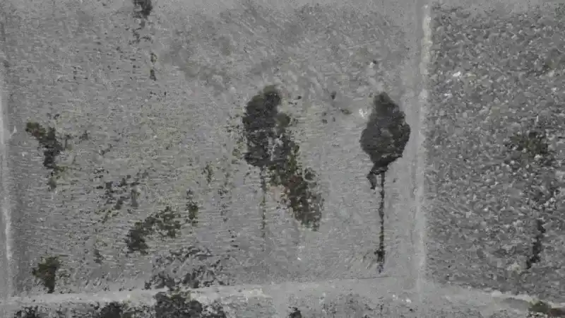 "Ulu Camii’de Ermeniler 285 Türk’ü diri diri yaktı" "Ulu Camii’de Ermeniler 285 Türk’ü diri diri yaktı"