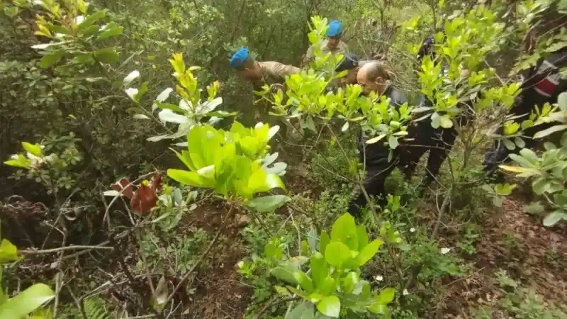 Korhan Berzeg’i arama çalışmalarında yeni bir bulgu