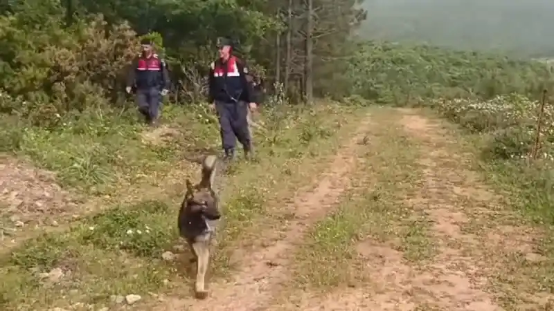 Korhan Berzeg’i arama çalışmalarında yeni bir bulgu